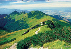 Entre dos centros culturales del sur de Polonia. Viaje a Cracovia y Wroclaw.